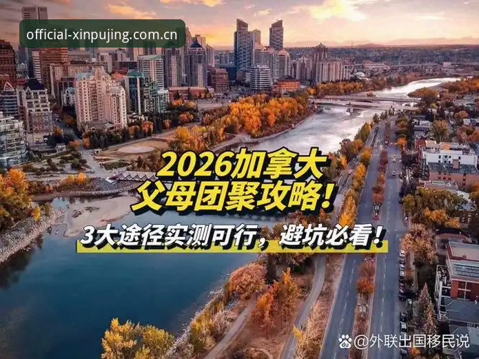 老玩家实测：新普京游戏平台2026新版使用心得，这些坑你别踩